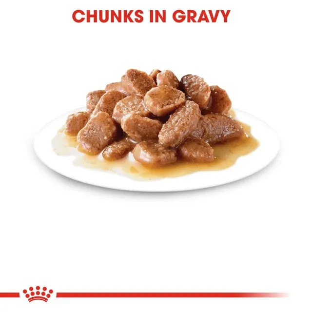 Royal Canin Hairball Care Gravy