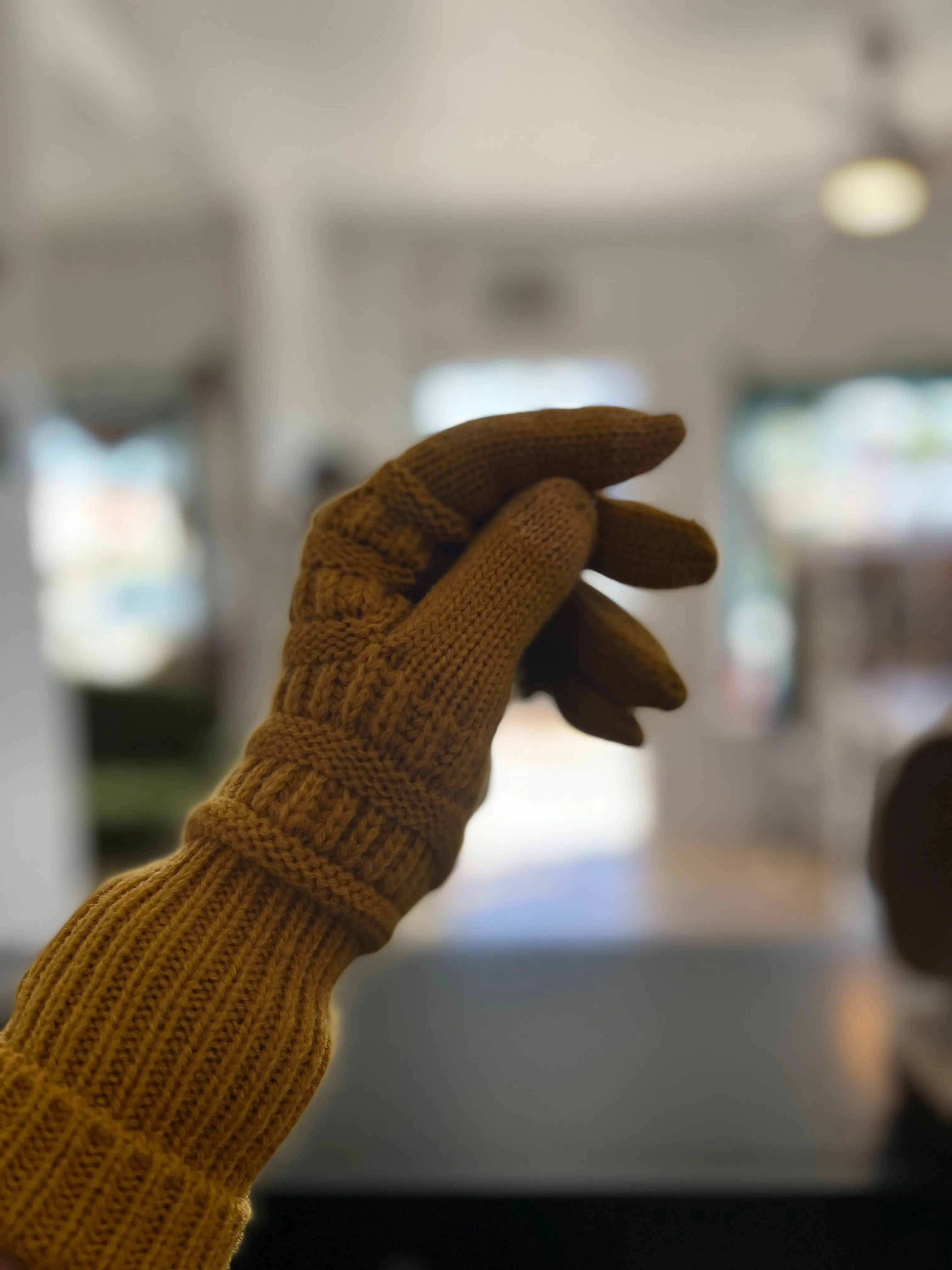 Touchscreen Winter Gloves